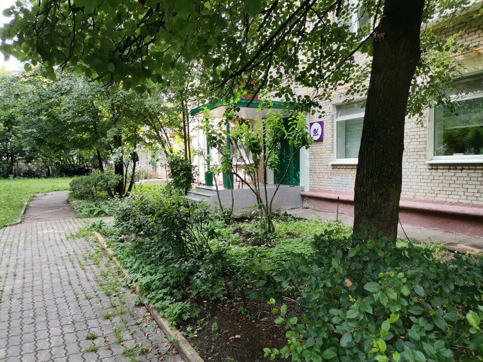 Фото Улитка