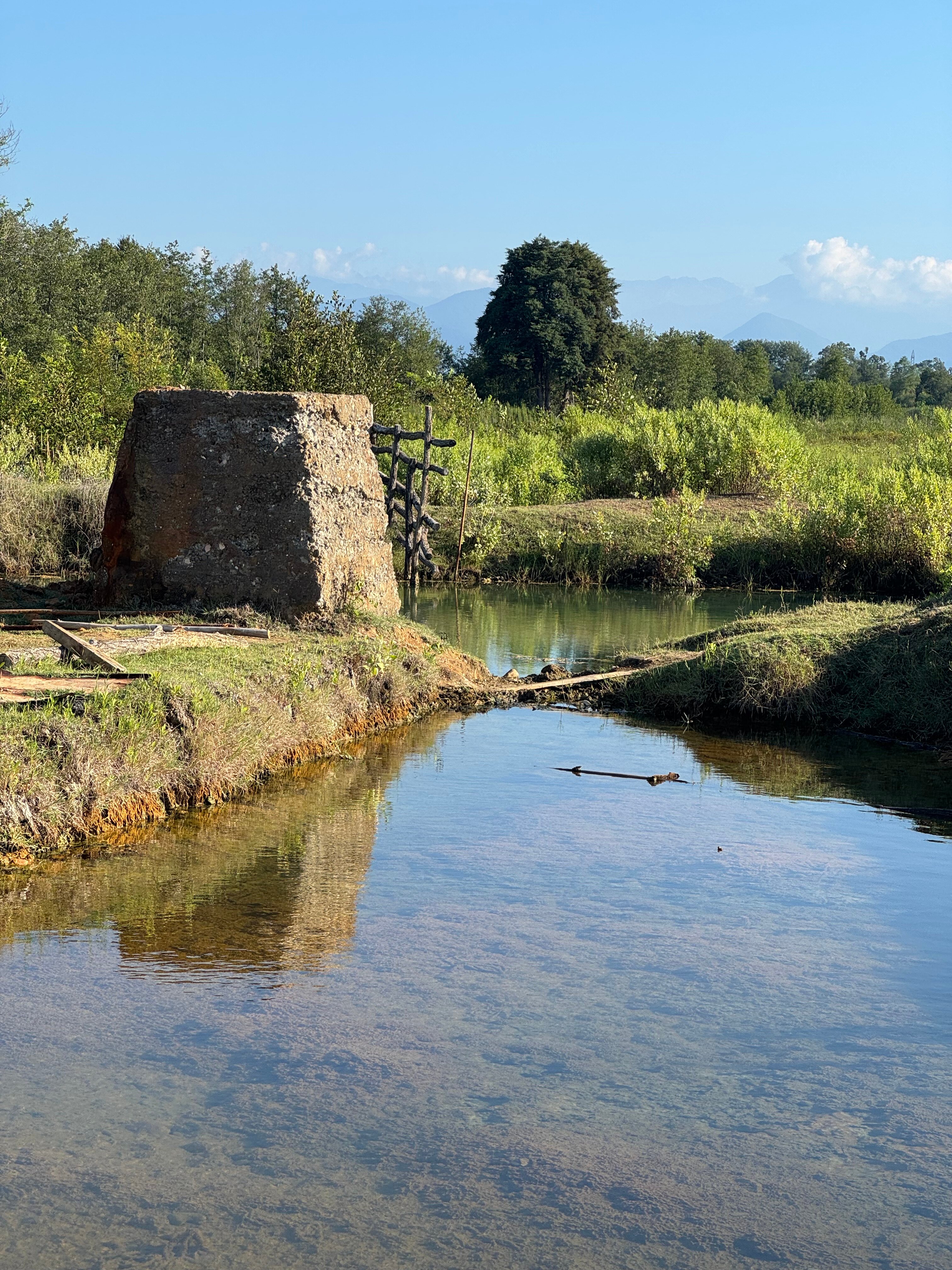 Фото Парк-отель Лето