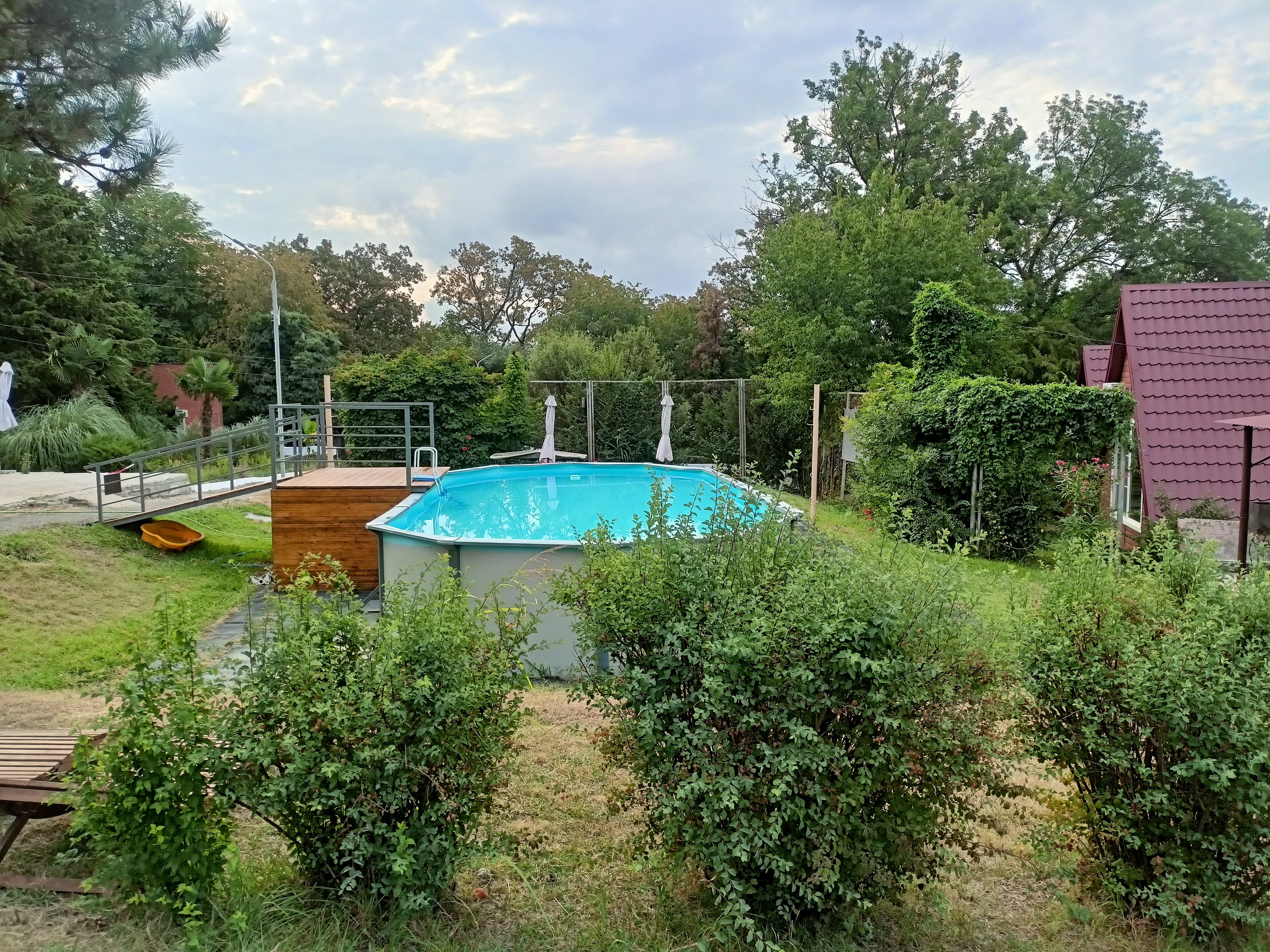 Фото Лунная поляна