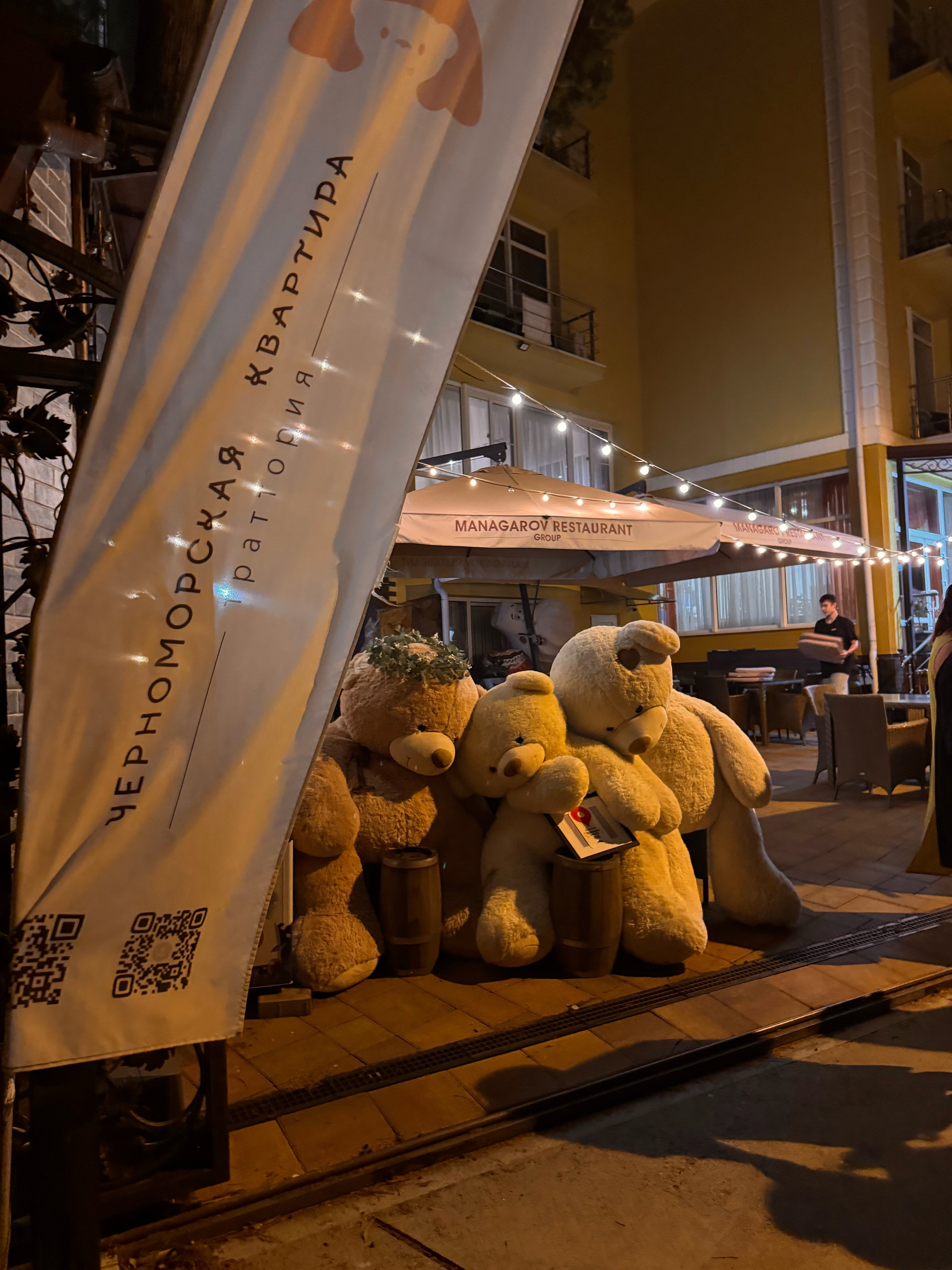 Фото Пеликан