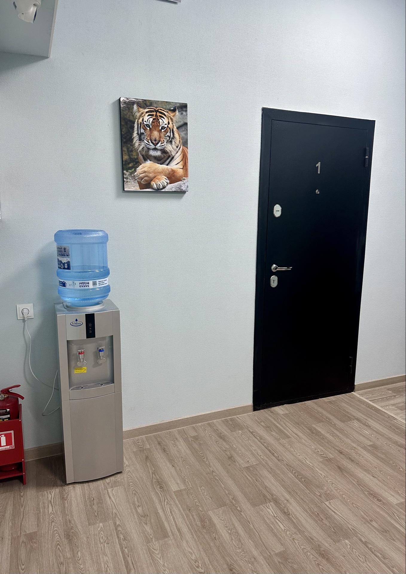 Фото Калинка