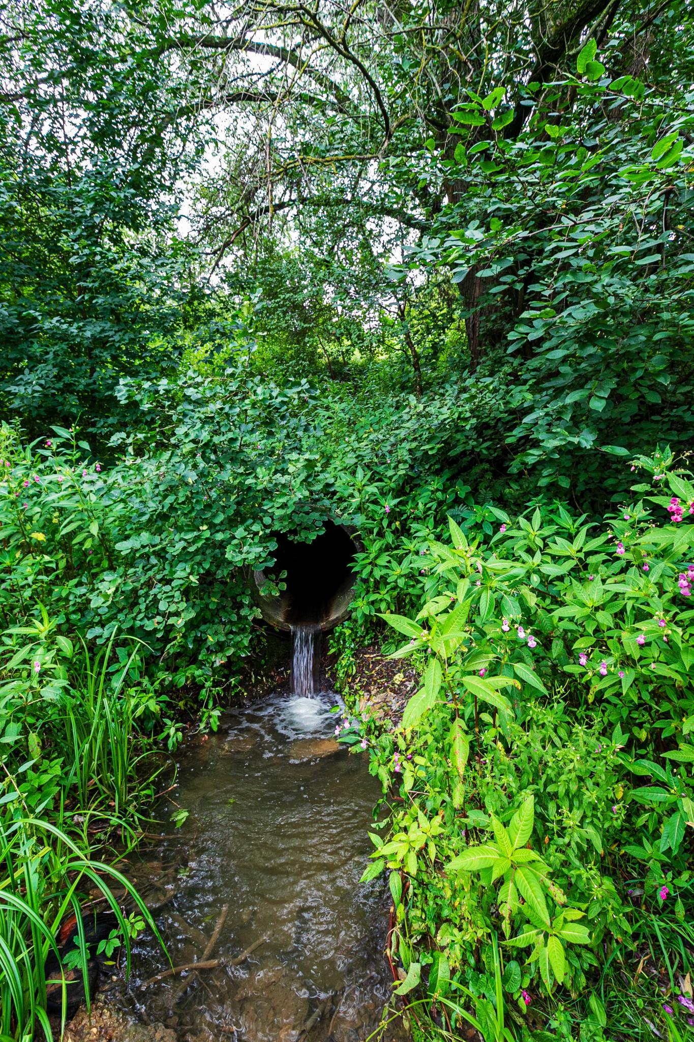 Фото FlyBox Vnukovo