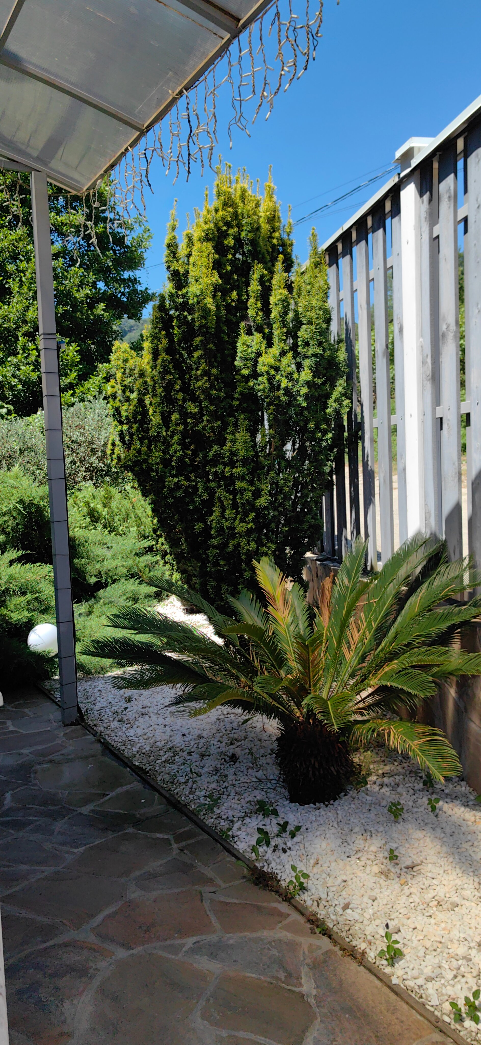 Фото Kalinin eco village