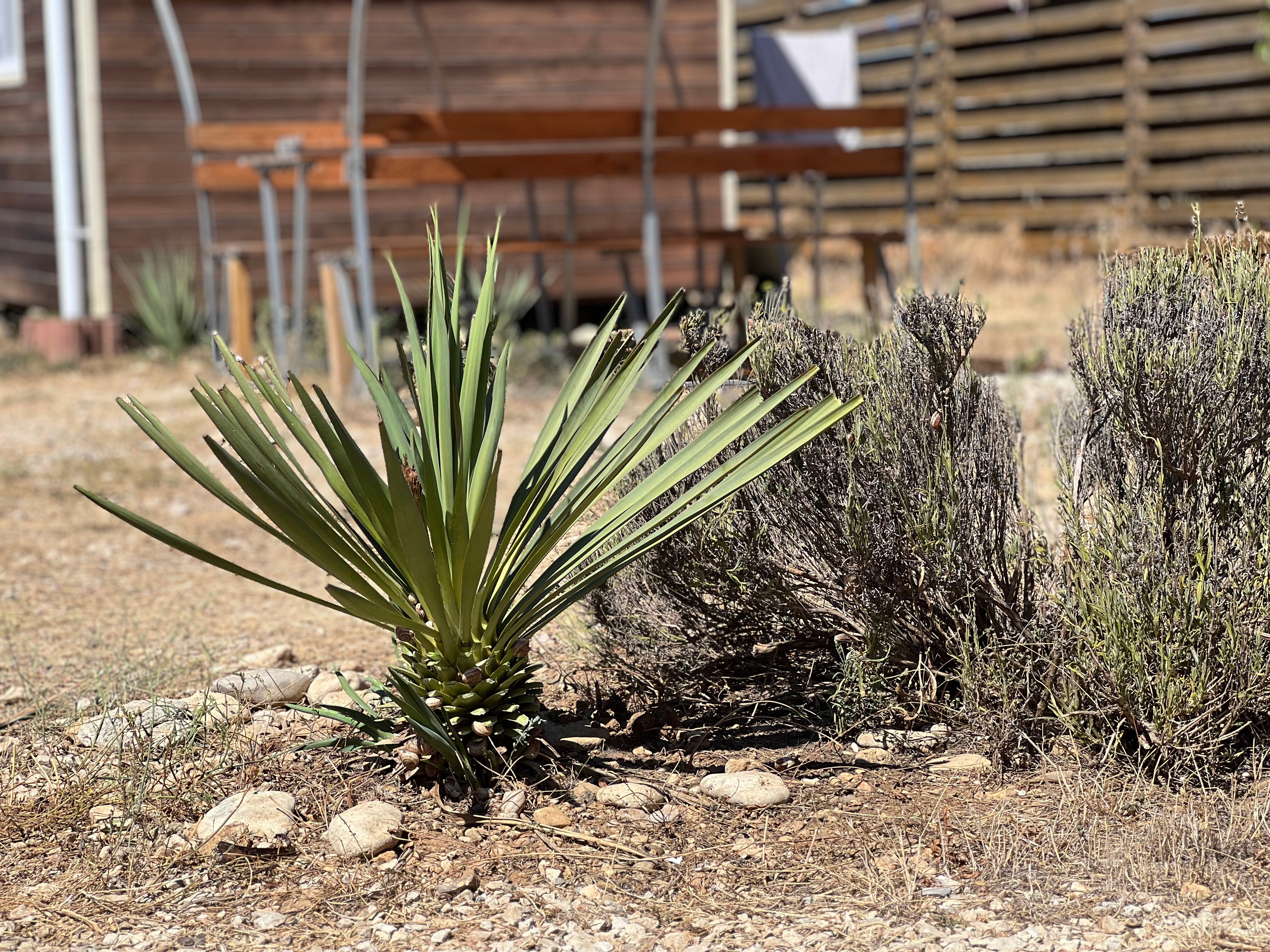 Фото Эко-дом Лаванда