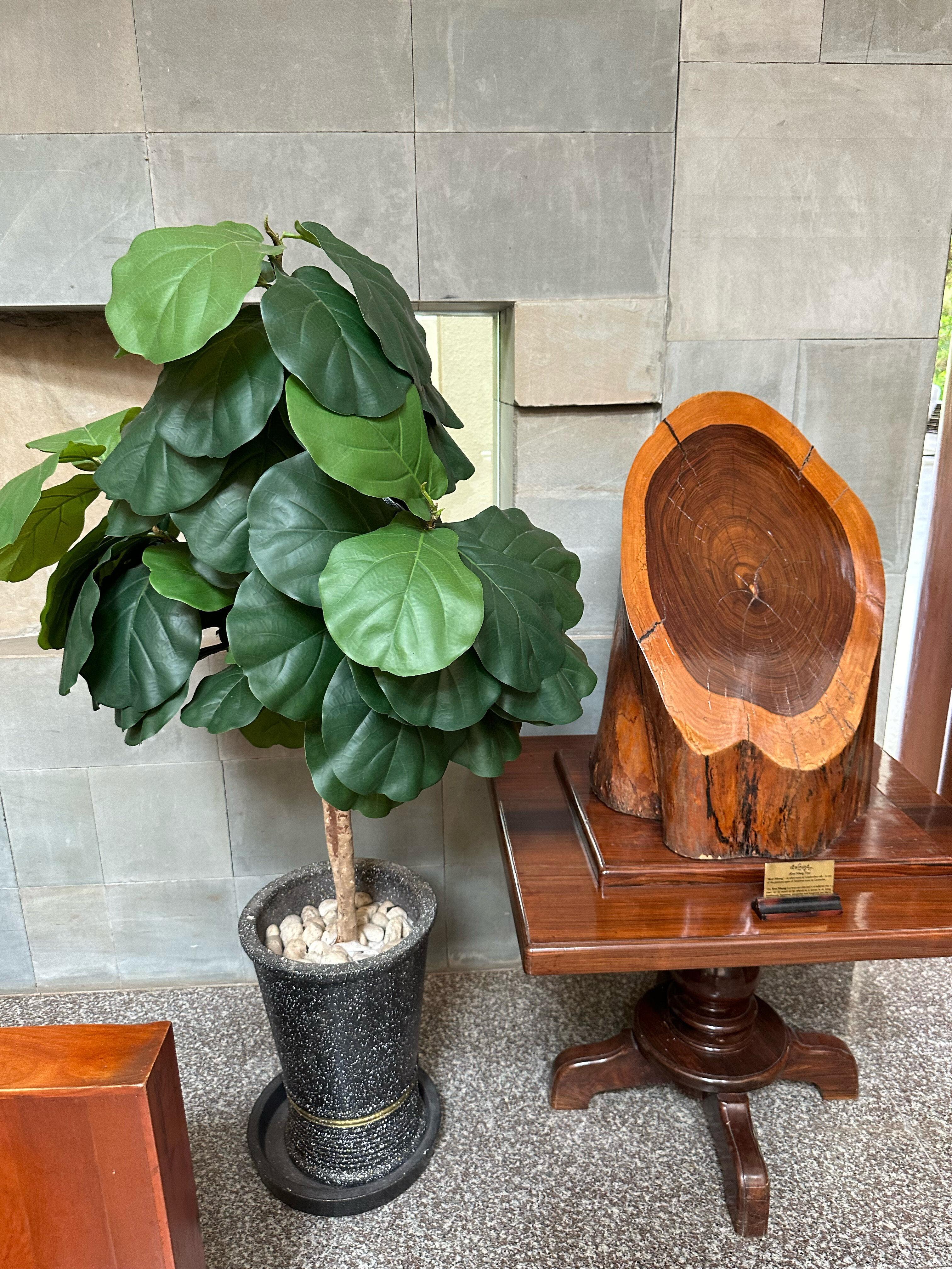 Фото Отель The Privilege Floor by Borei Angkor