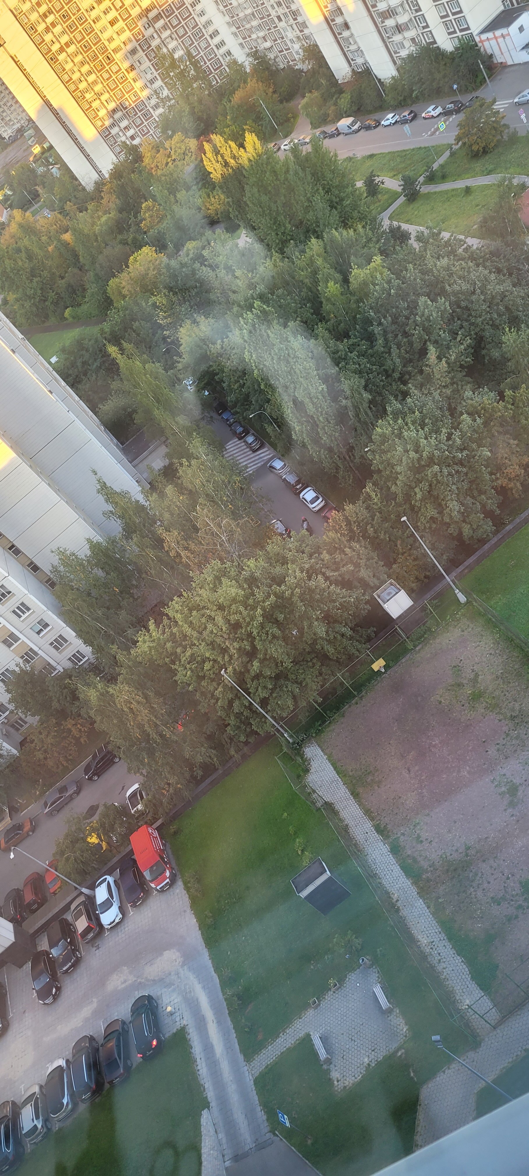 Фото Диадема