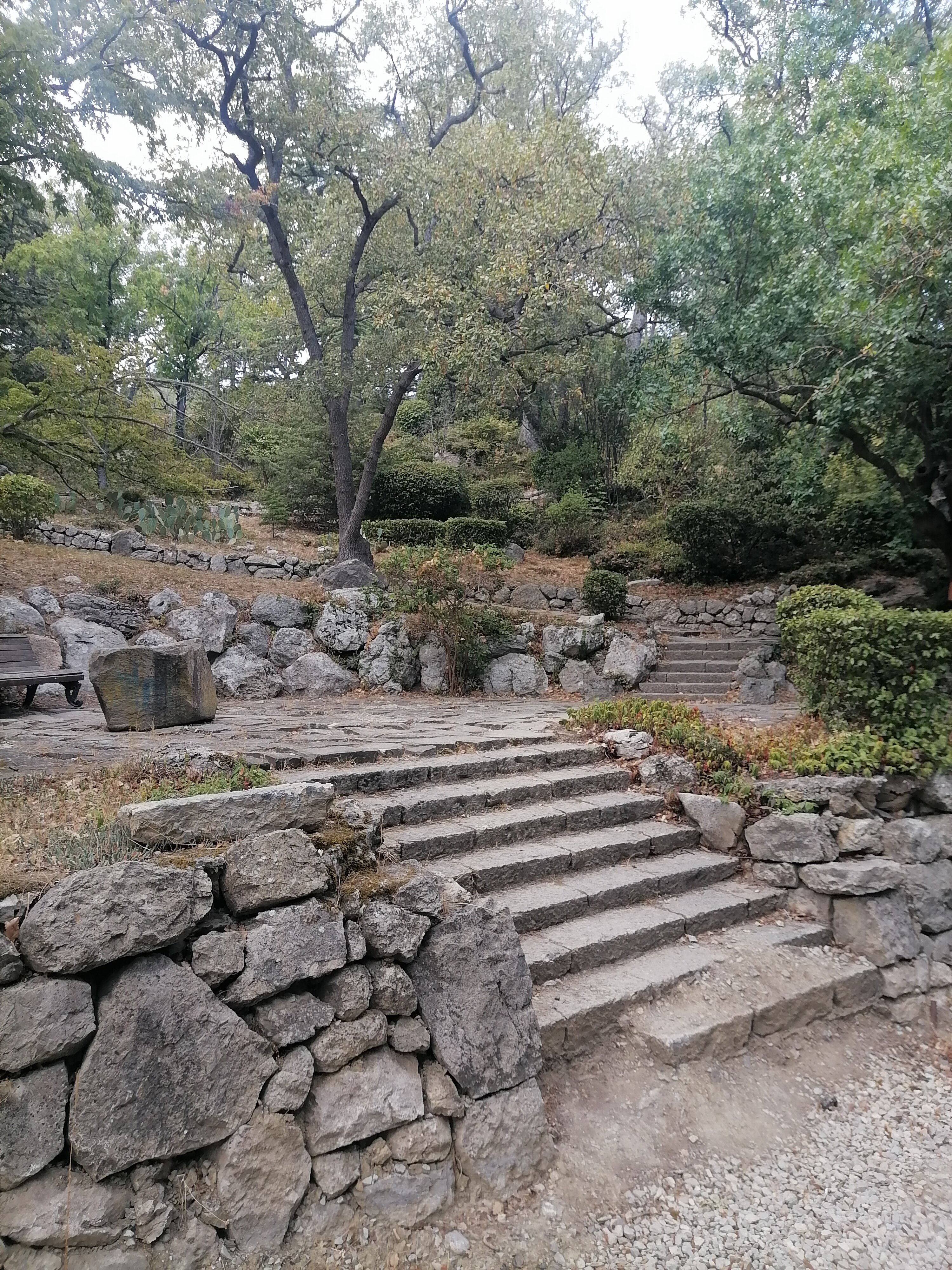 Фото Олива Парк