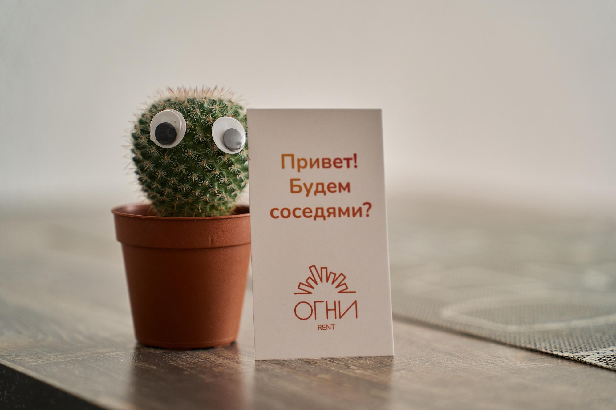 Фото Артек by Огни Rent