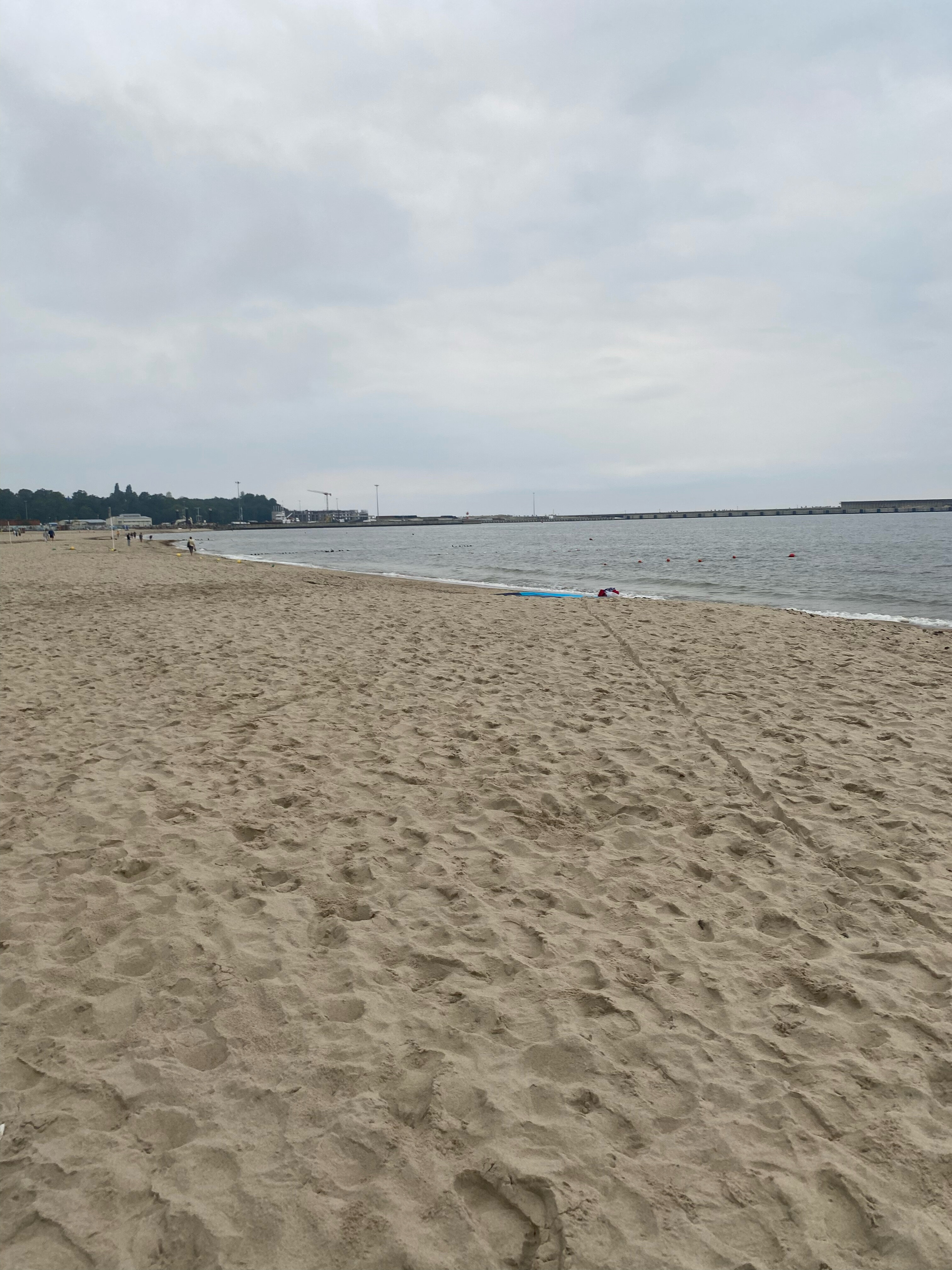 Фото ArtistApart Van Gogh