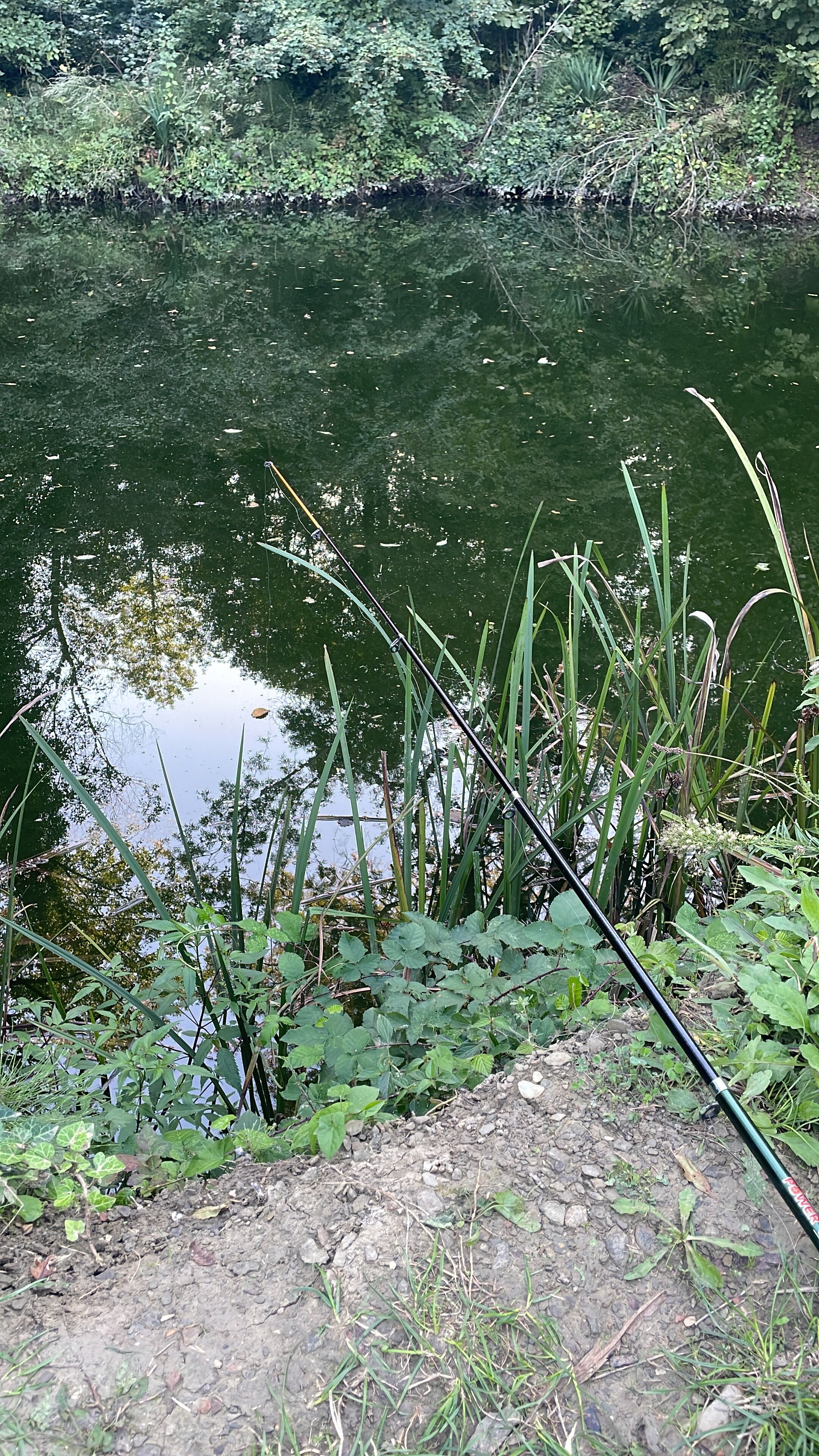 Фото Butik Дача & Баня