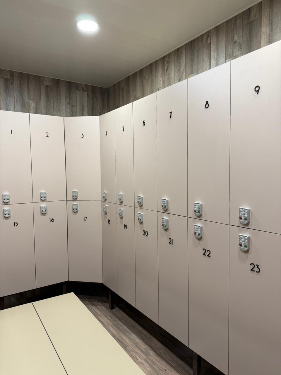 Фото Iva тенистая