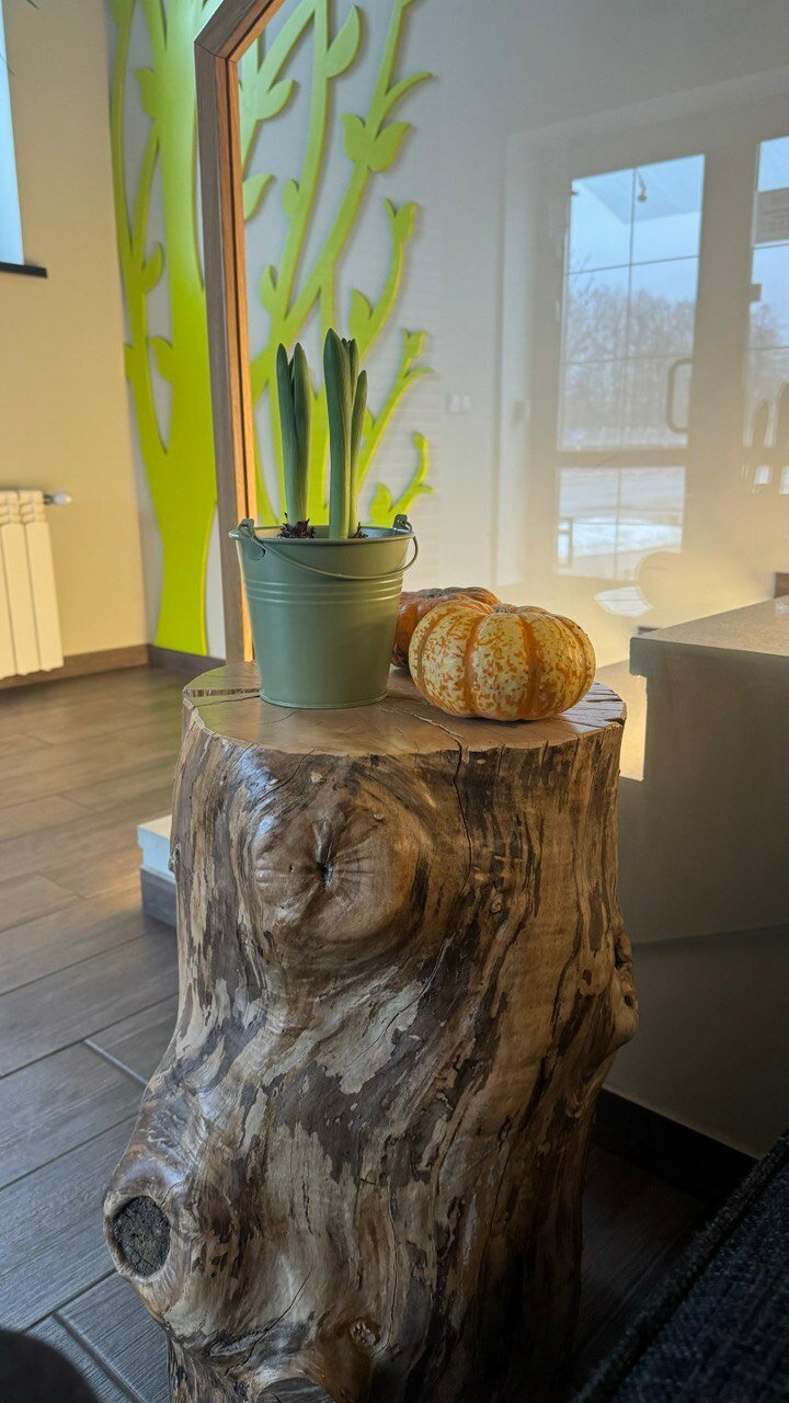 Фото Апрель