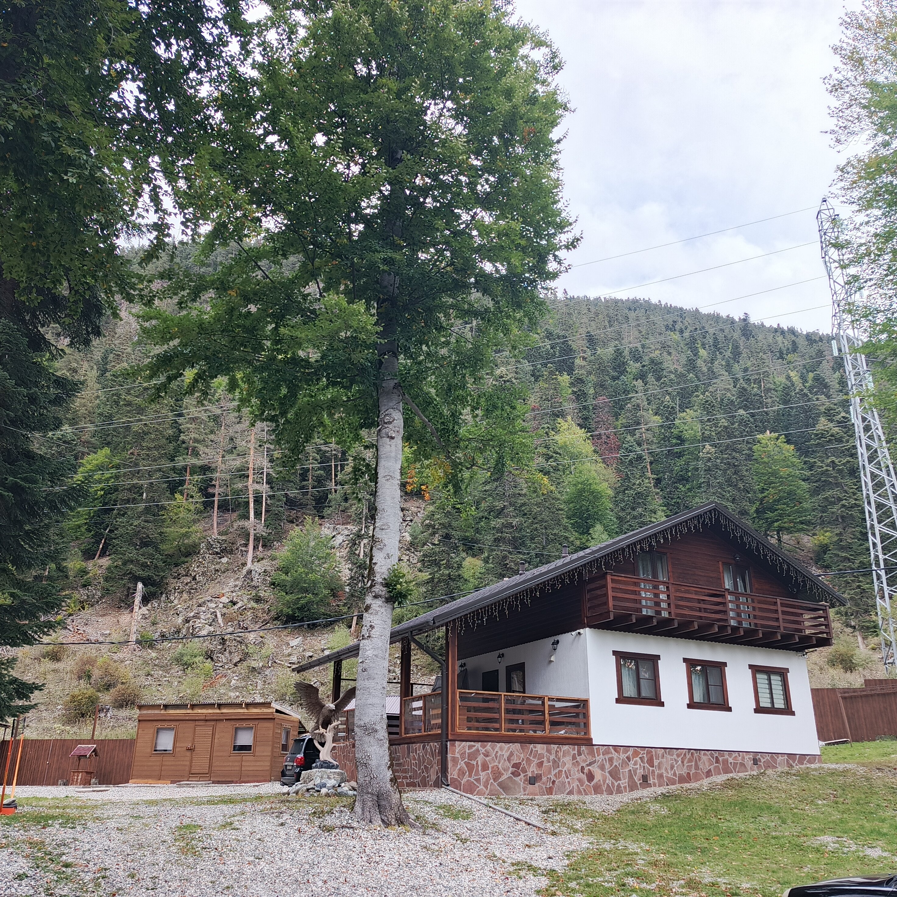 Фото Орлиное Поместье