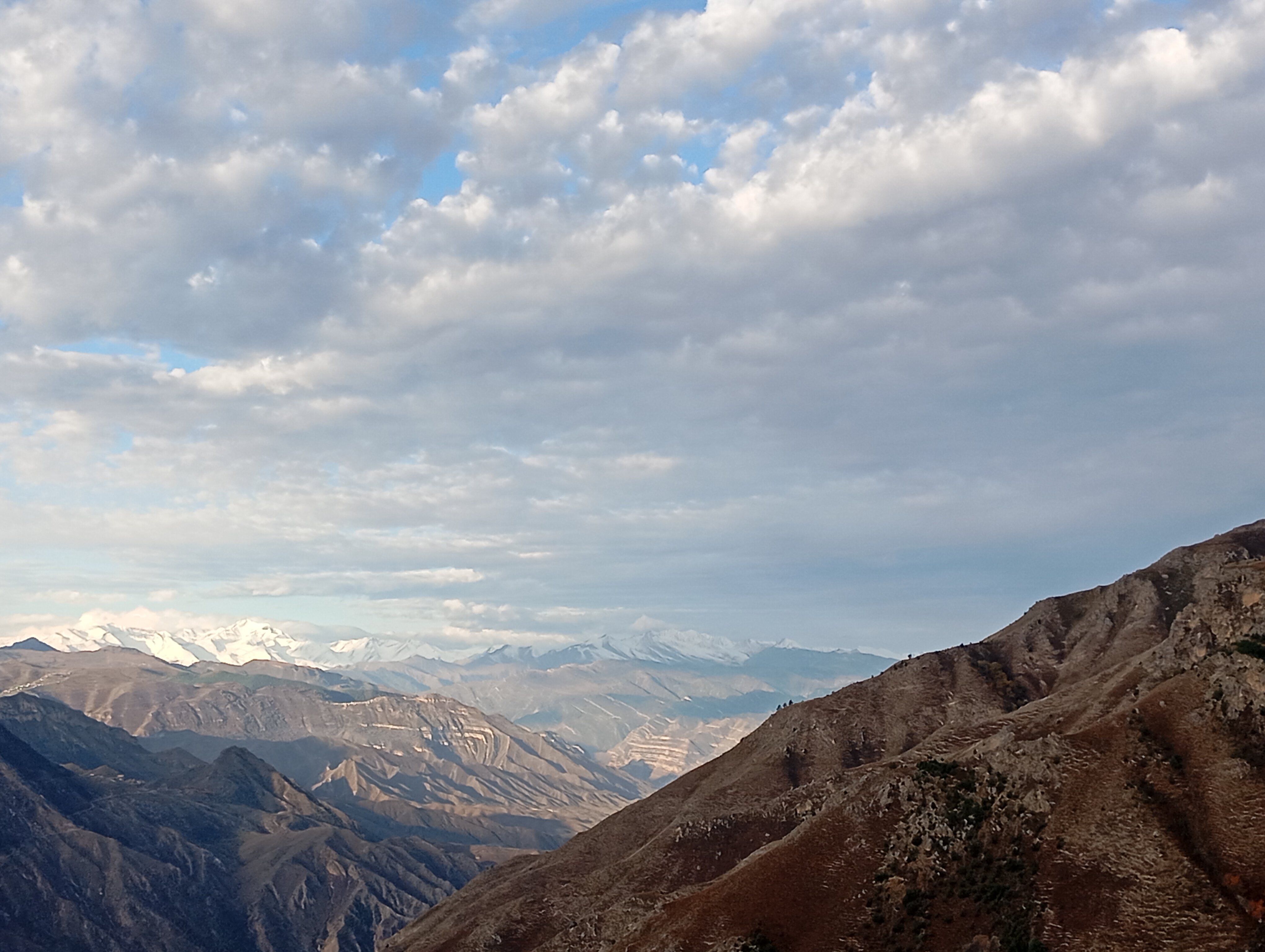 Фото У Магомеда