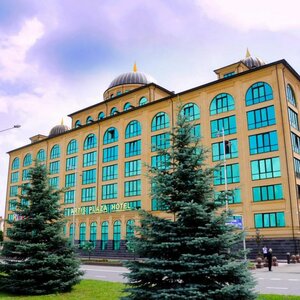 Гостиница Артис Плаза