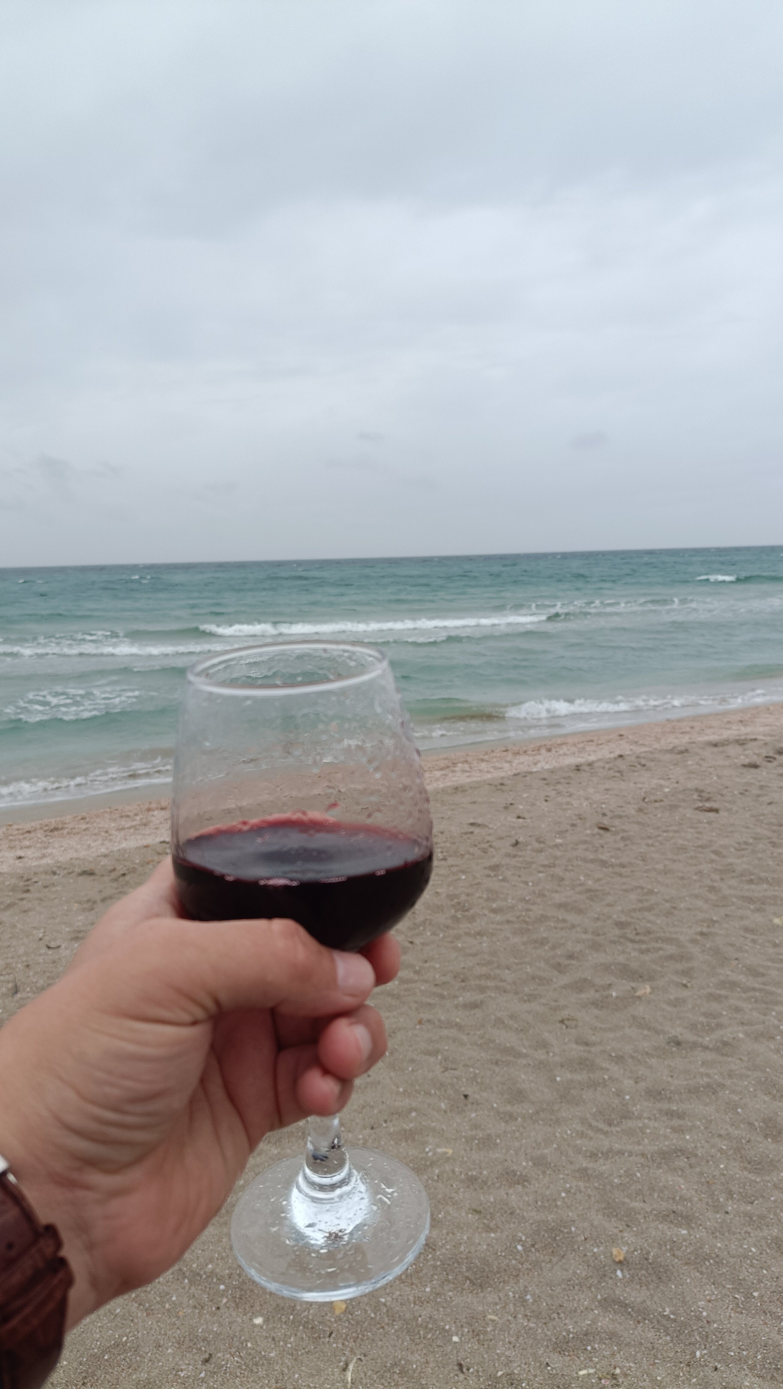 Фото Palm Beach Resort