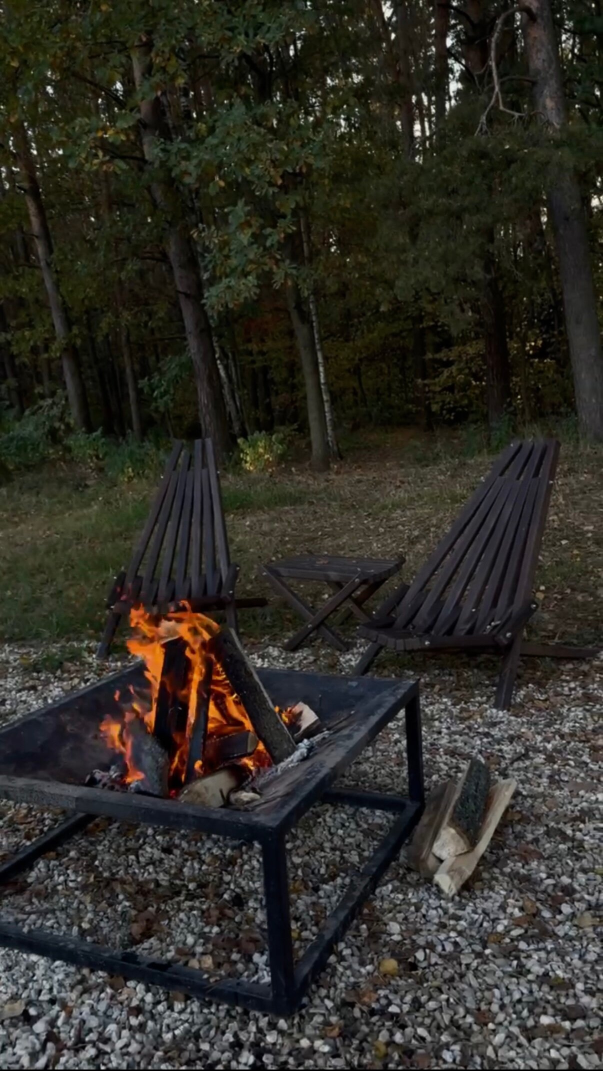 Фото Южный Бор