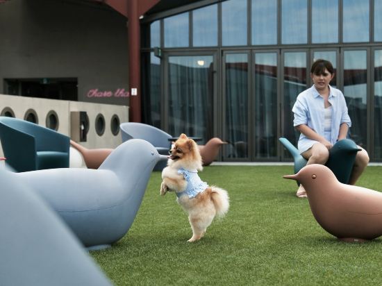 Фото Lyf One-North Singapore