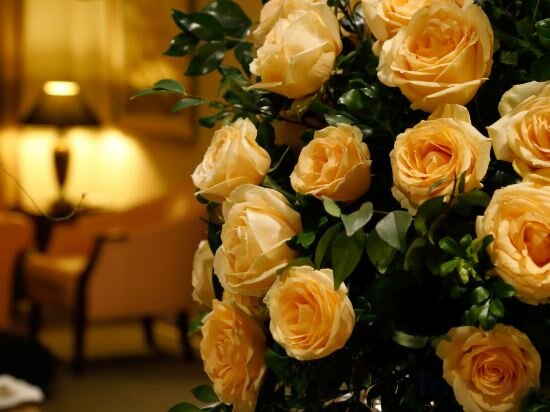 Фото Sunway Hotel Hanoi