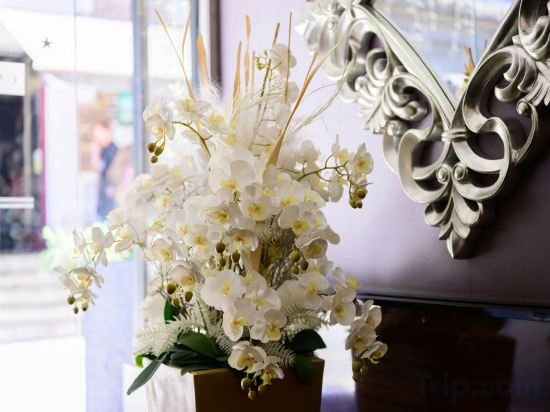 Фото Carlton Hotel Buda Castle