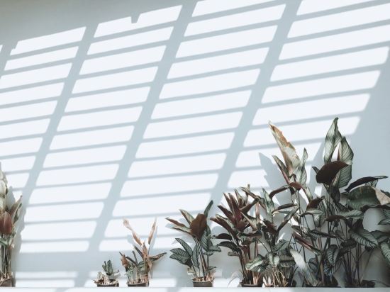 Фото Villa Sanpakoi