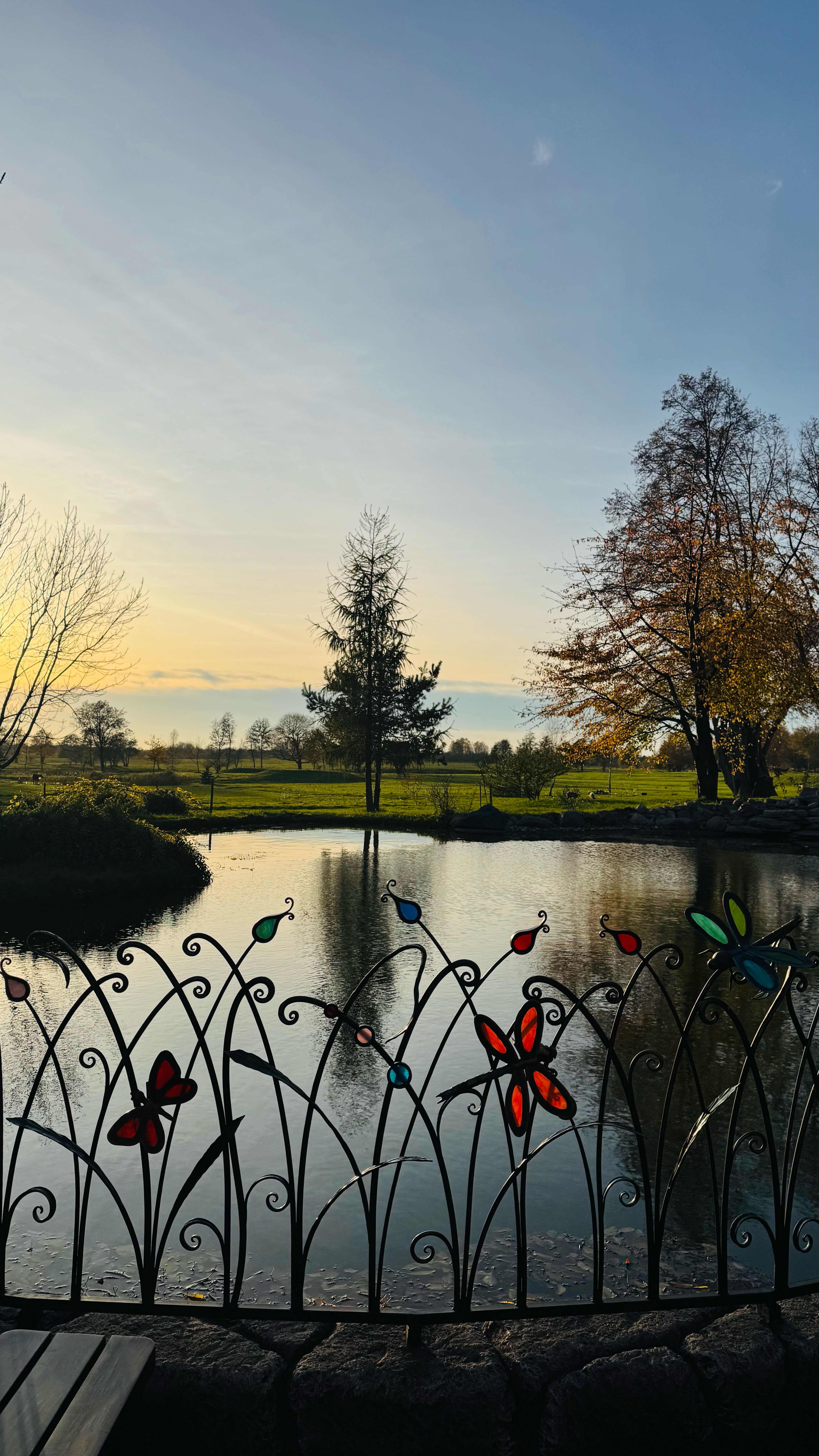 Фото Белый филин