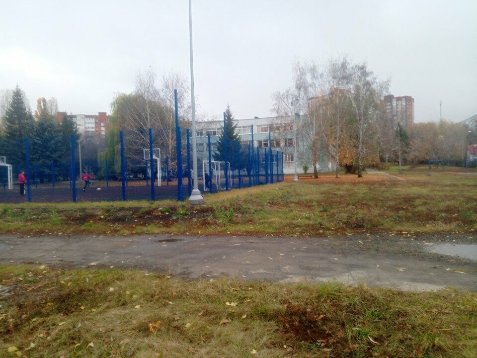 Further education Софтиум, Penza, photo