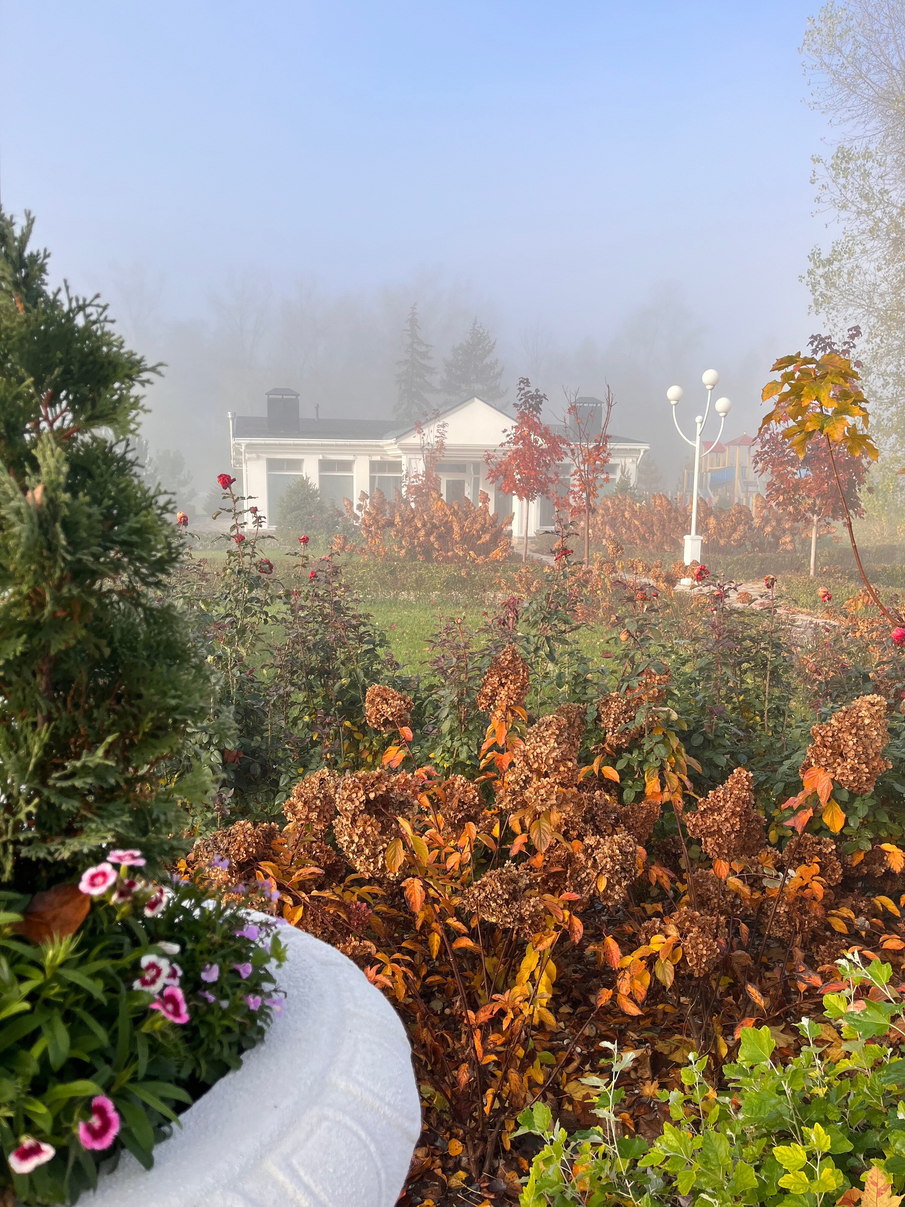 Фото Жемчужина