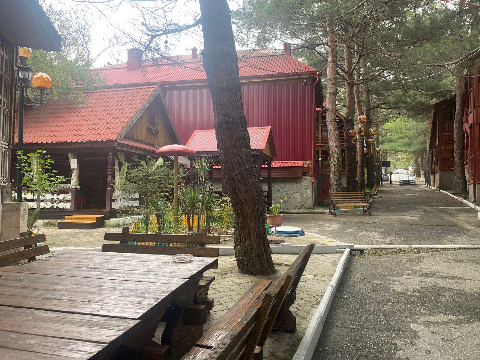 Фото Сосновый бор