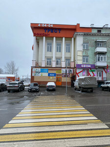 Трест
