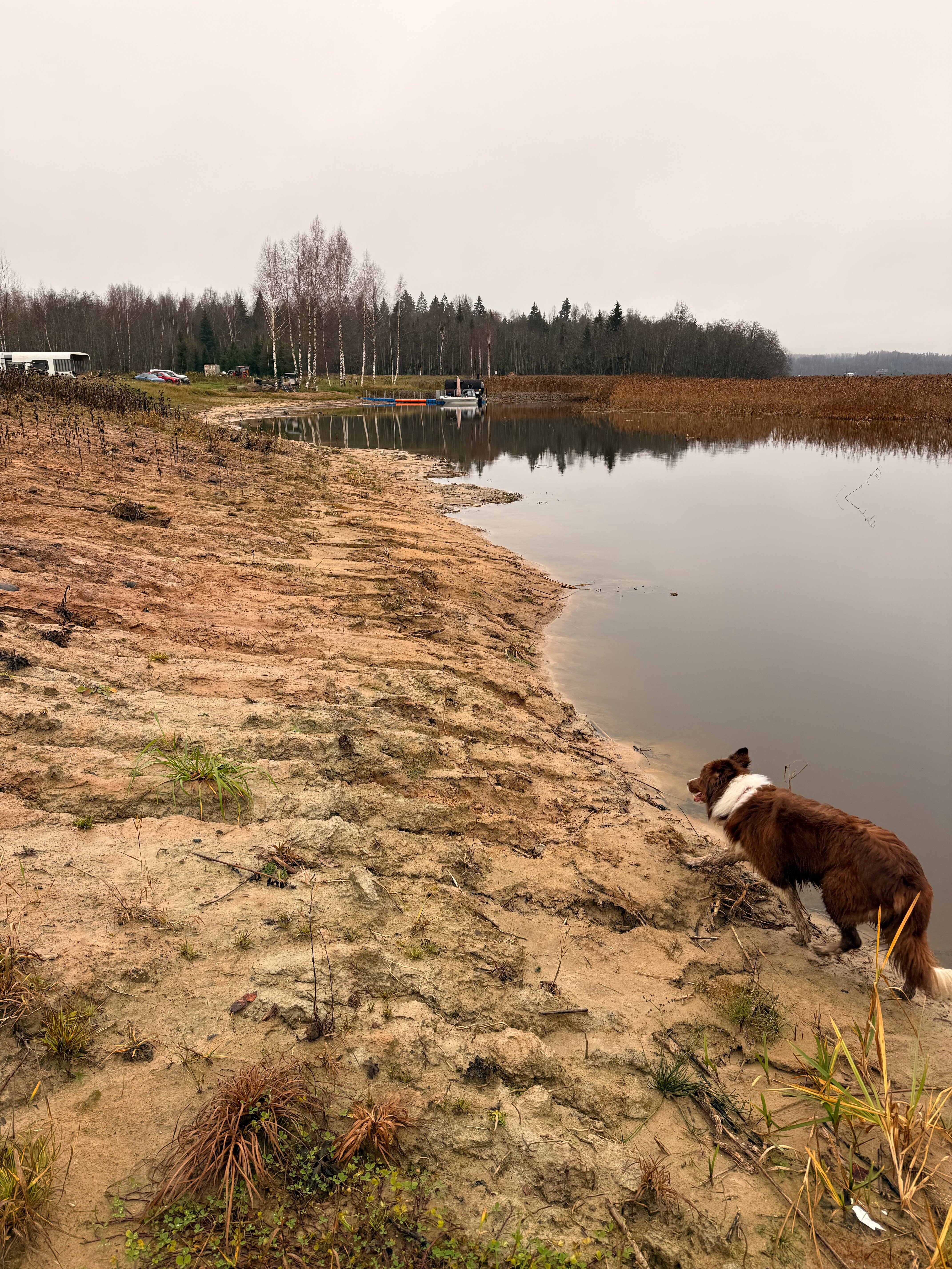 Фото Тарасовская слобода