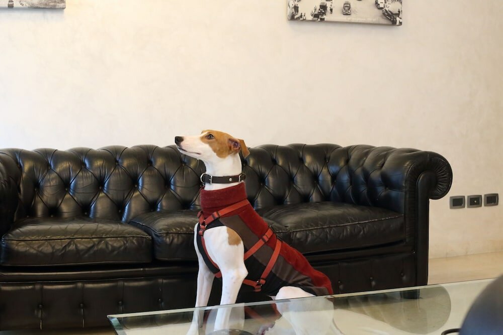 Фото Hotel Du Soleil