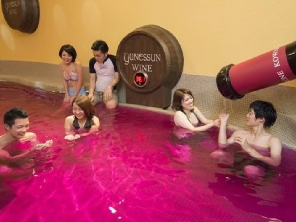 Фото Hakone Kowakien Ten-yu