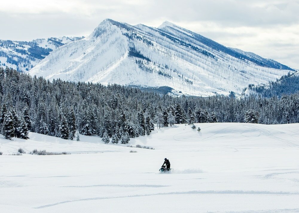 Фото Flying Saddle Resort