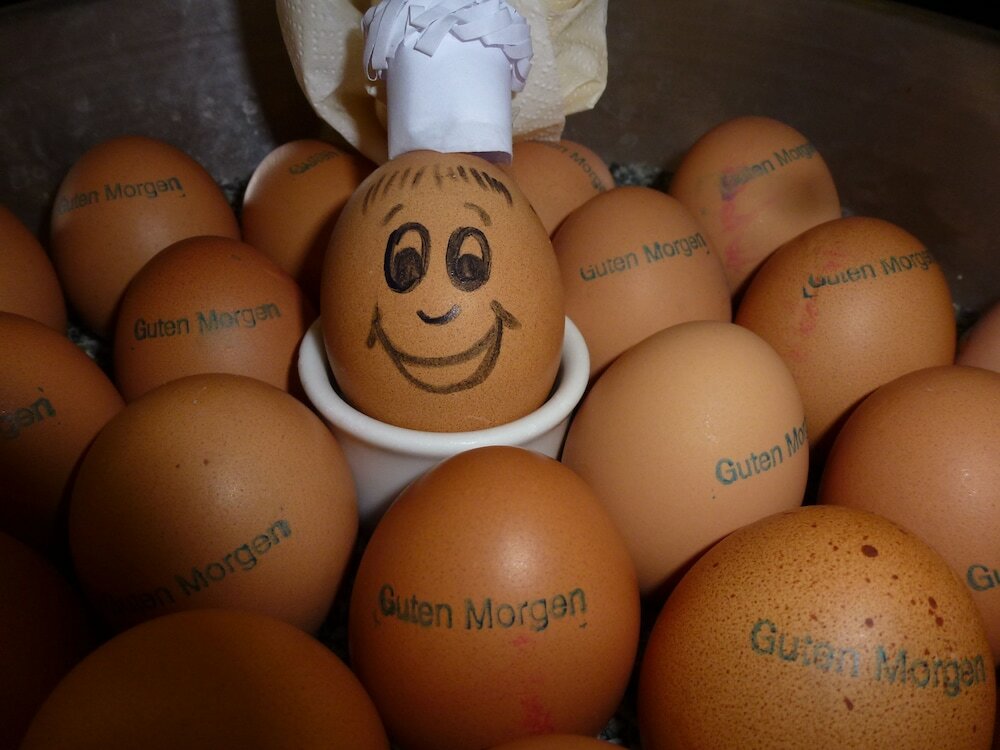 Фото Ringhotel Weißer Hirsch