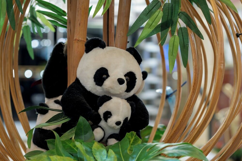 Фото Chengdu Tianfu Sunshine