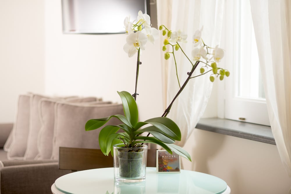 Фото B&b Maiurè