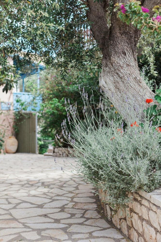 Фото Afroditi Pansion