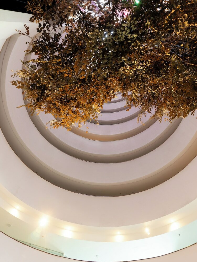 Фото Radisson Hotel Recife