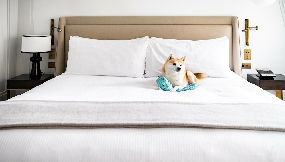 Фото Kimpton St Honore Paris