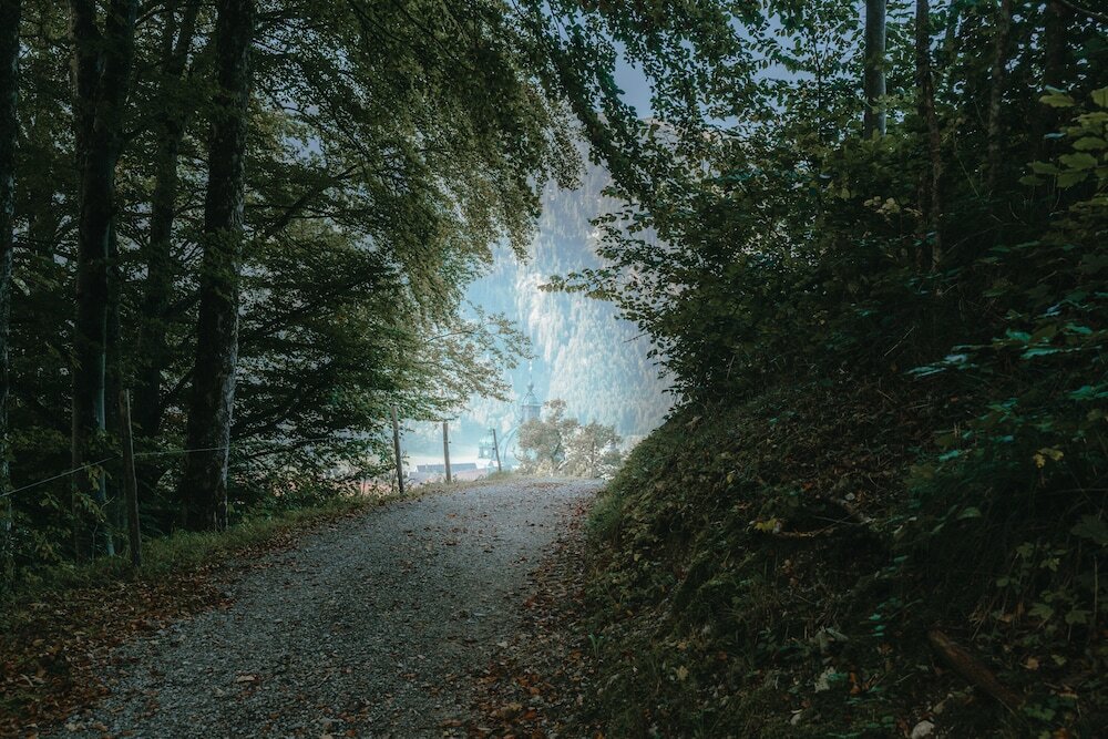 Фото Hotel Blaue Gams