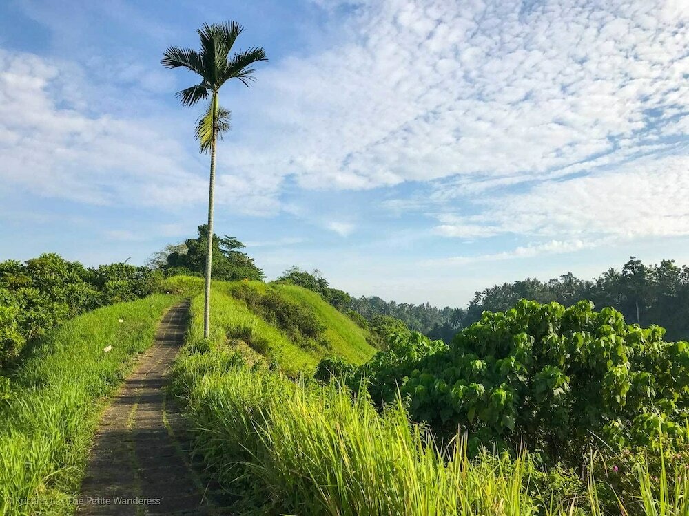 Фото Курорт Pita Maha Resort & Spa