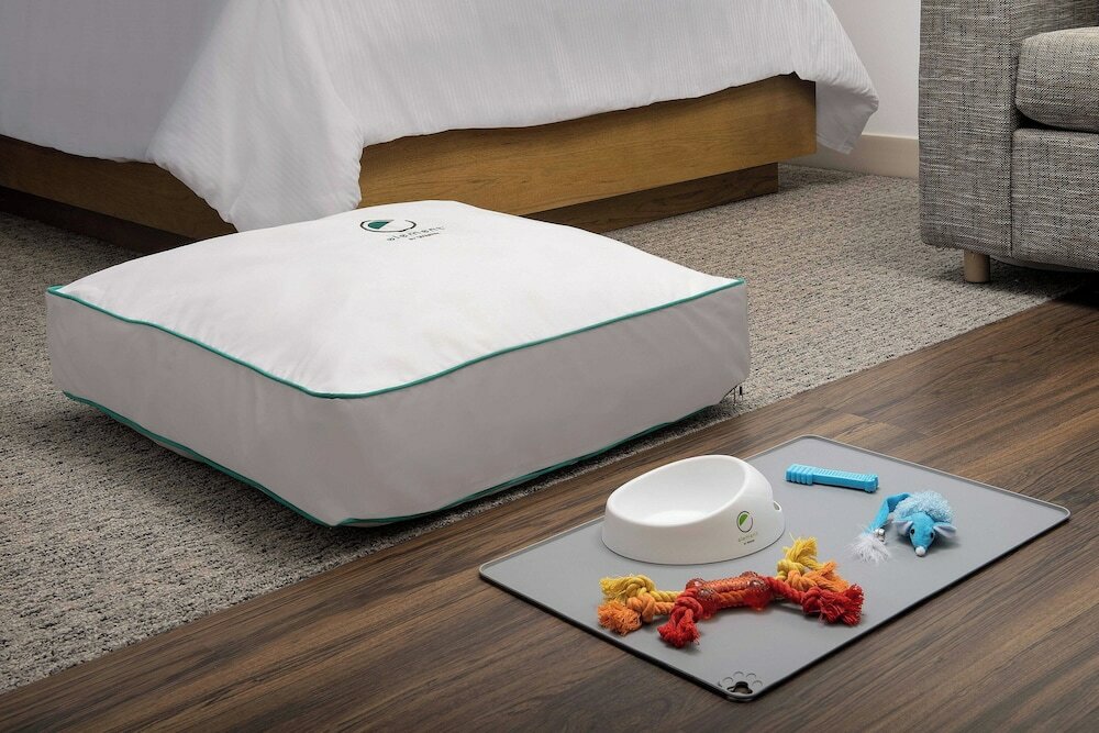 Фото Element Jacksonville Beach