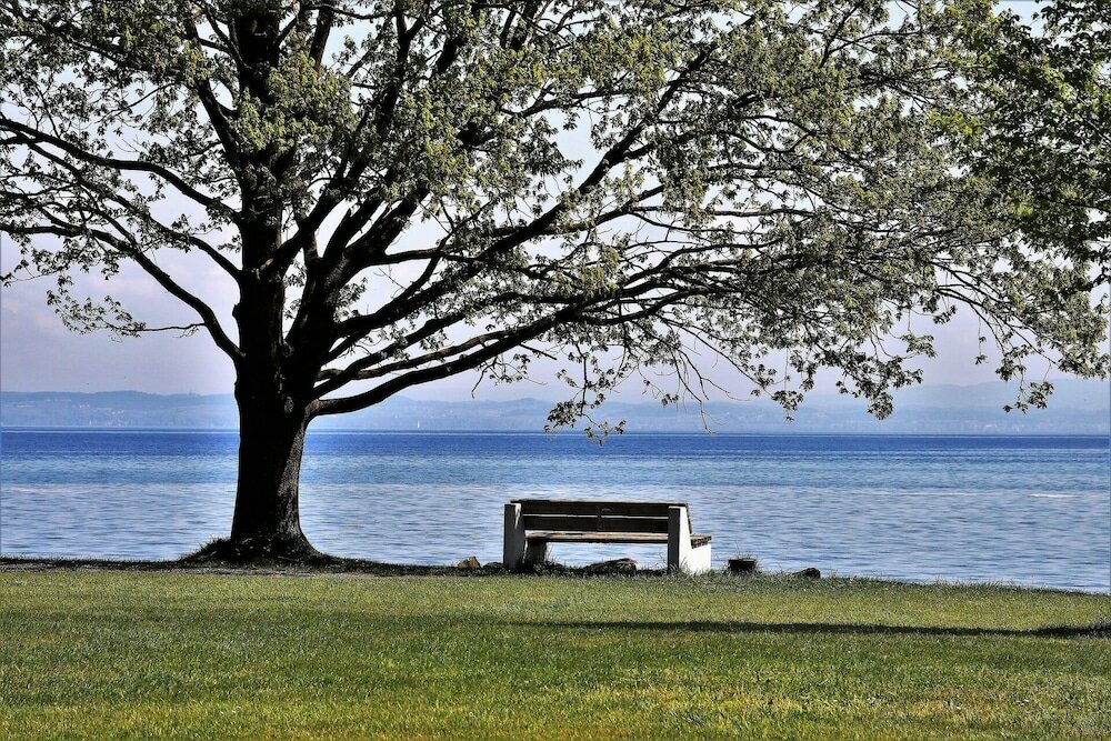 Фото Teddybärenhotel