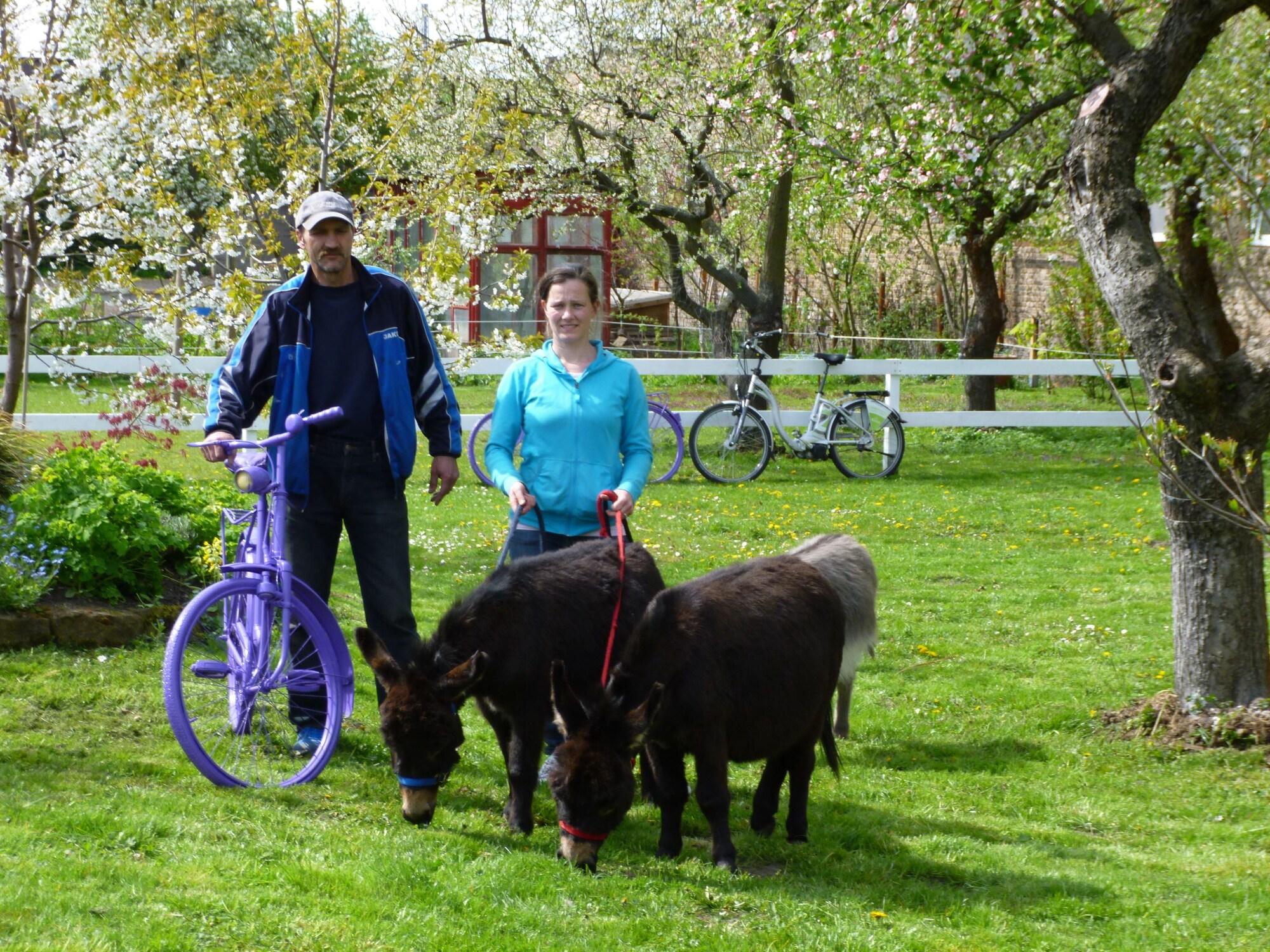 Фото Hotel Lavendelhof & Eselhof Nauen