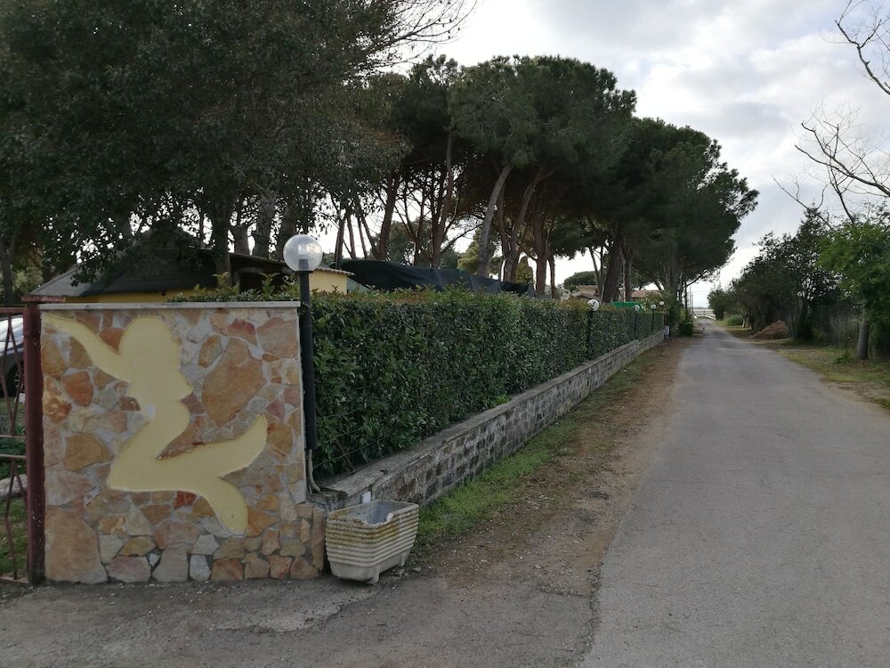 Фото Hotel Paradiso