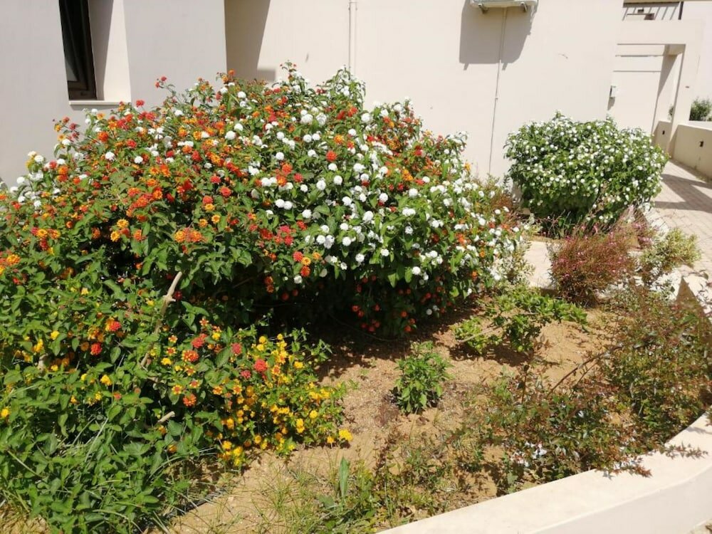 Фото Carisa Maleme