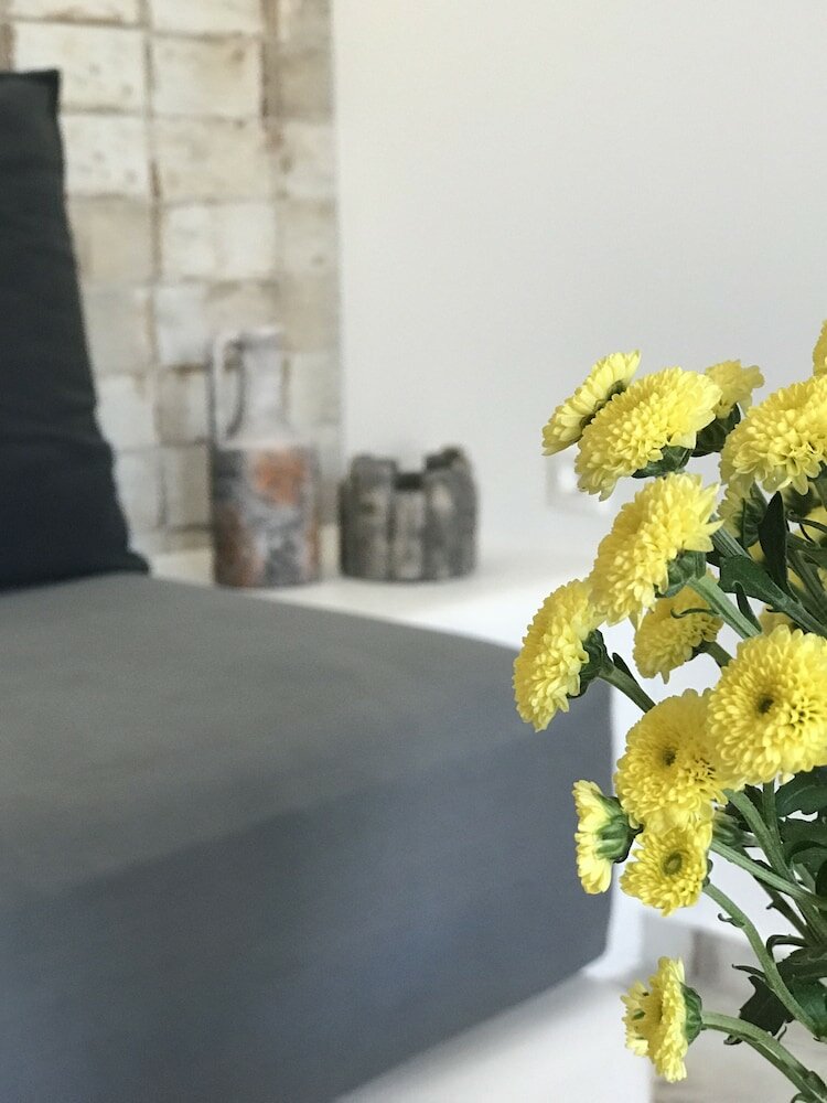 Фото Elia Residences Santorini