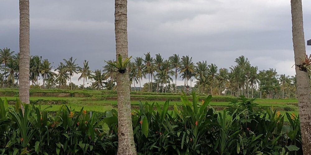 Фото Anggira Villa Ubud