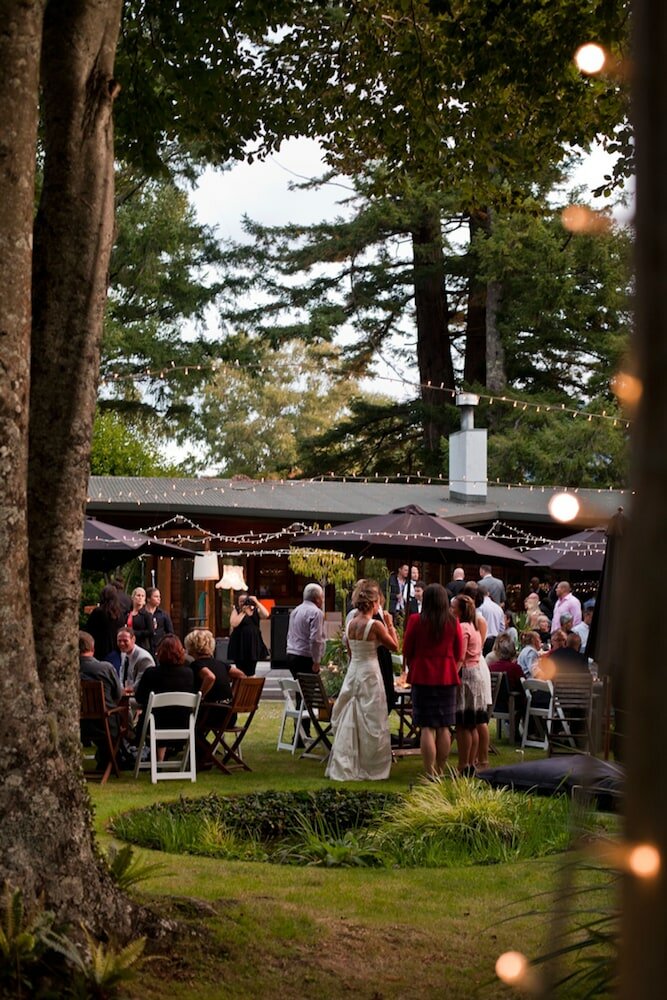 Фото River Birches